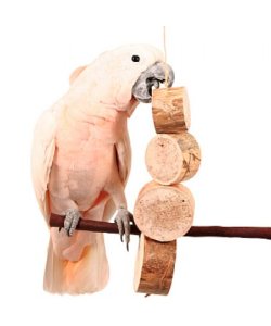 Bird Kabob - Mucho Grande - Natural Chewable Parrot Toy